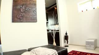 Lisa Ann with Erik Everhard shooting towards the wall towards kitchen, facial cumshot ANAL Tease#1